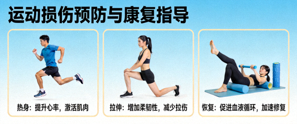 运动损伤预防与康复指导 - 热身、拉伸、恢复等关键环节
