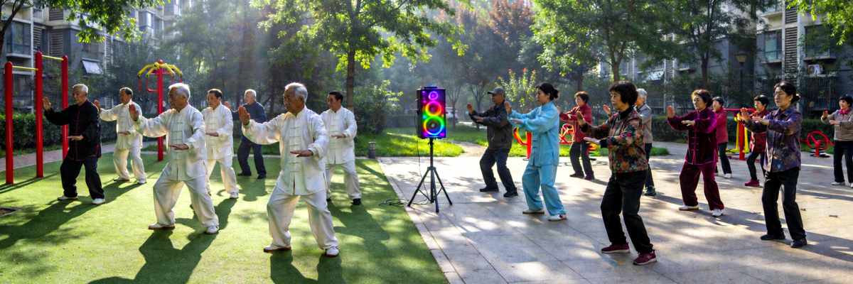 社区居民在公园进行集体健身活动 - 太极拳、广场舞等多种运动形式