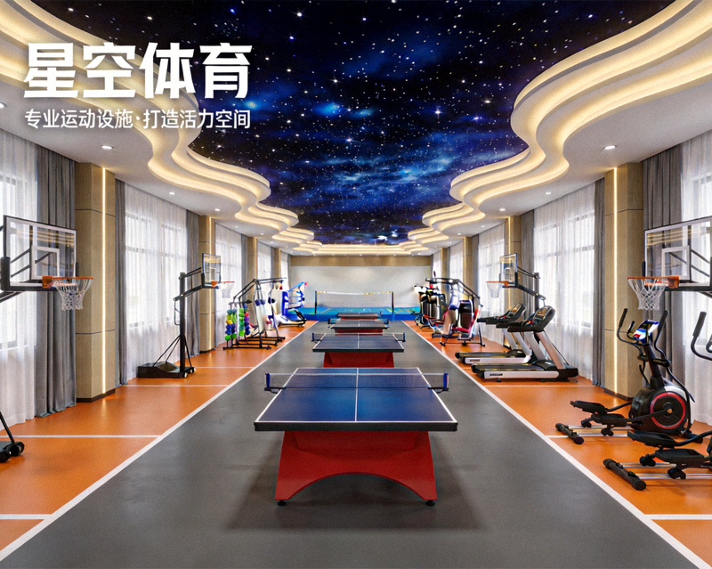 星空体育公司介绍配图 - 室内体育场馆中整齐排列的运动设施